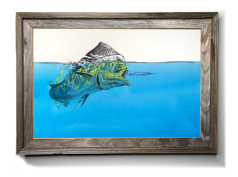 Surface Tension Gamefish Wall Art