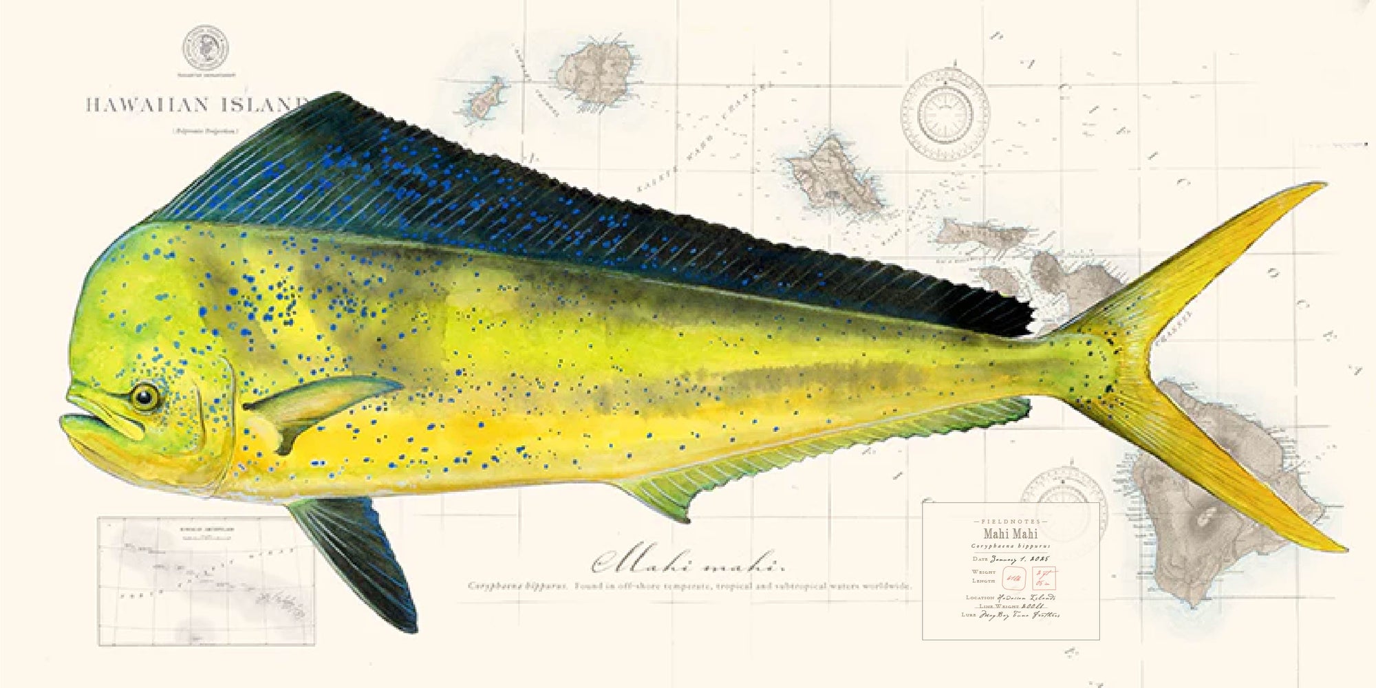 Trophy Fish - Hawaiian Islands