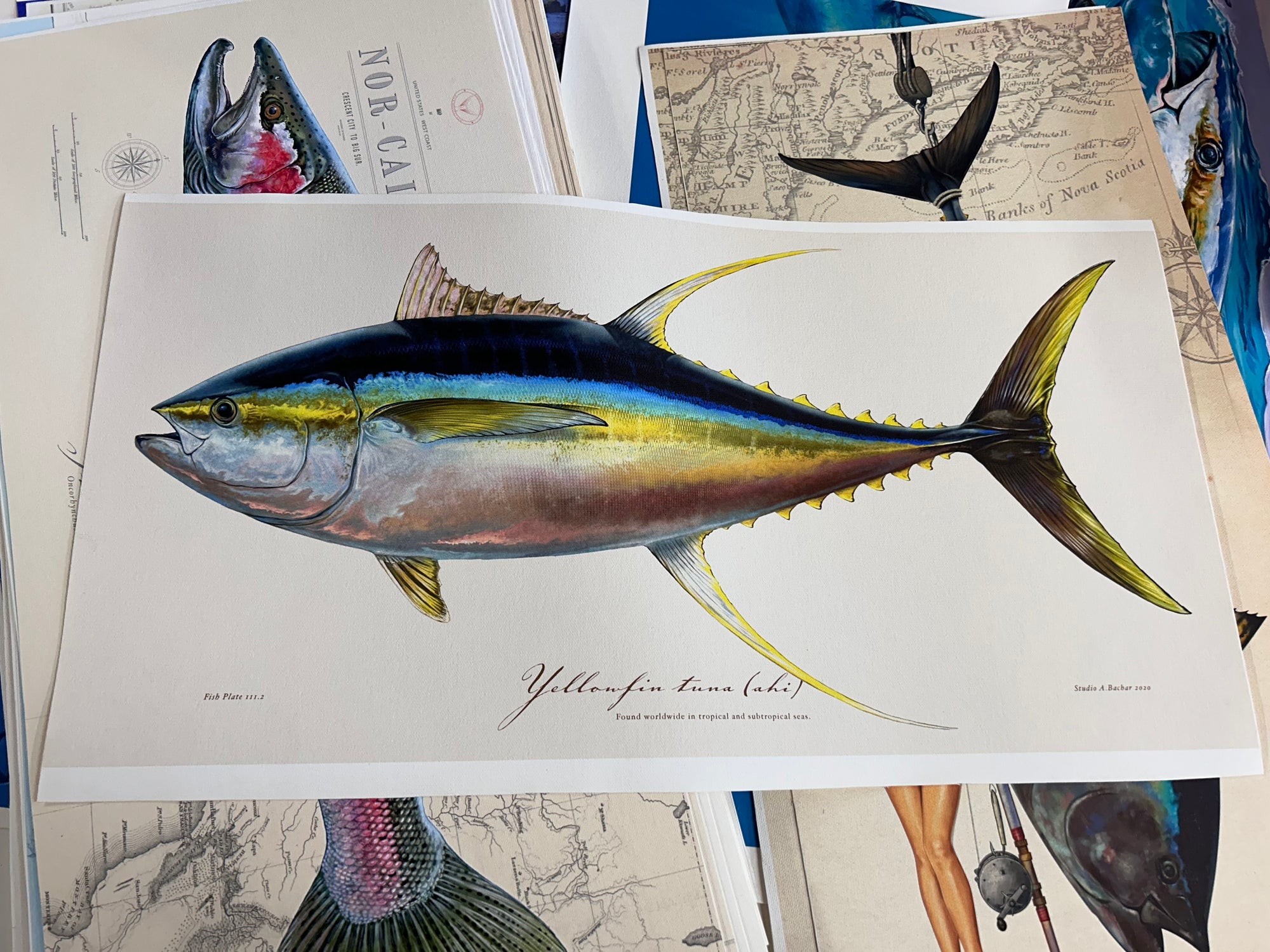 Discounted 12x24 Yellowfin Tuna