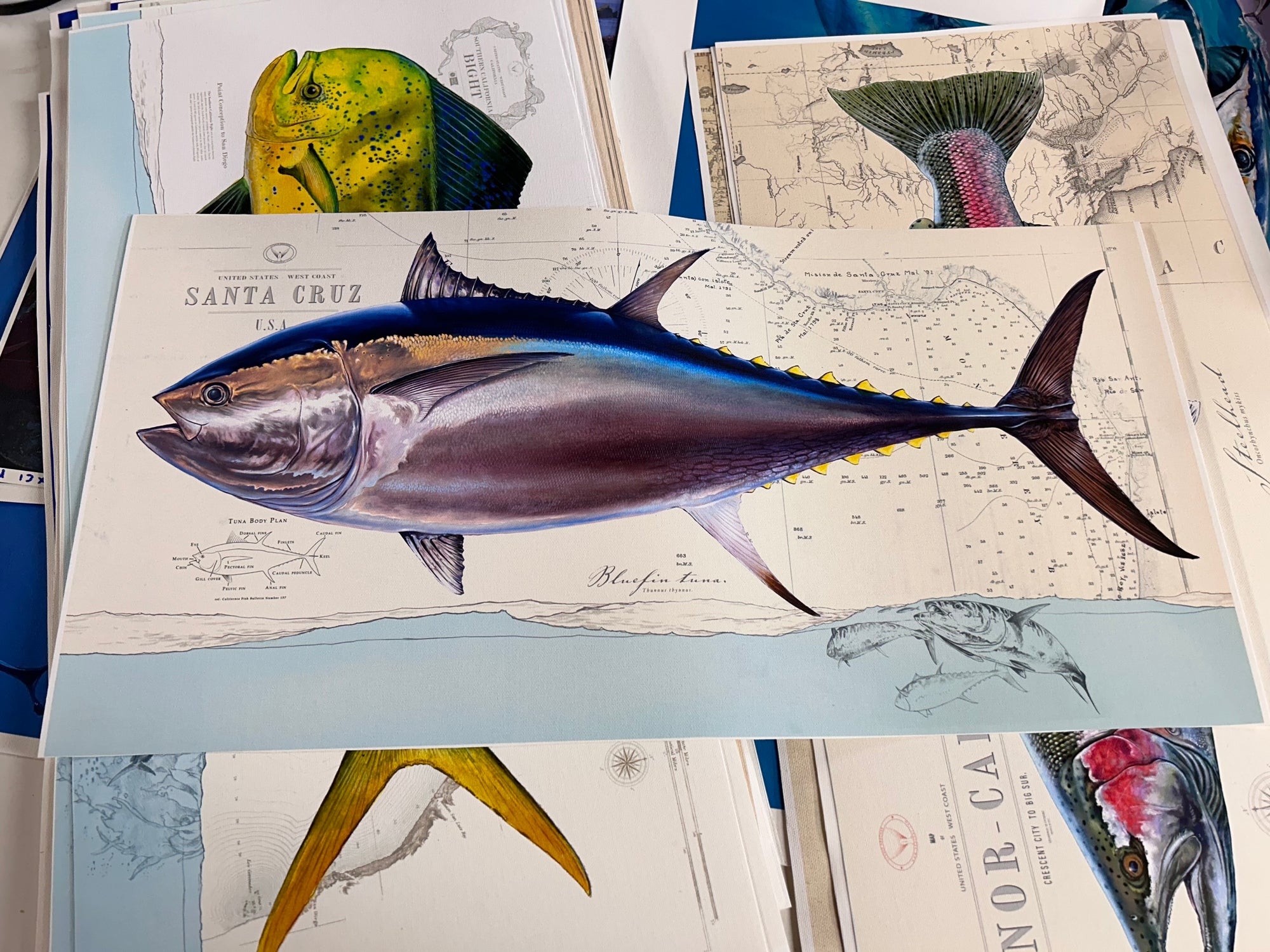 Discounted 12x24 Bluefin over Santa Cruz