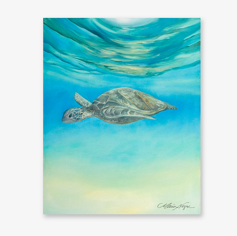 Turtle Painter Paint brush - Turtles - Sticker