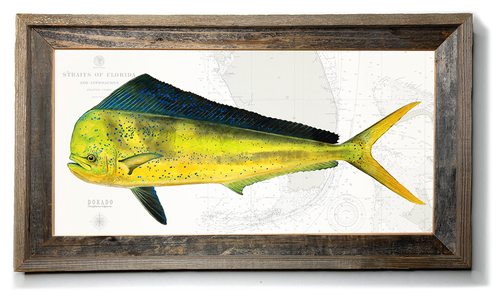 Dorado Fish over Straits of Florida Nautical Chart