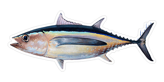 Fishing Decal - White Tuna Vinyl Sticker - Fishing Bumper Sticker - Tuna  Decal - Fishing Decal - Perfect Ocean Fishing Gift - Made in The USA Size