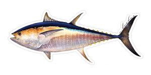 Bluefin Tuna Decal - Hooked for Life
