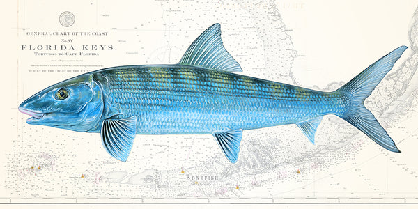 Bonefish over Florida Keys Nautical Chart