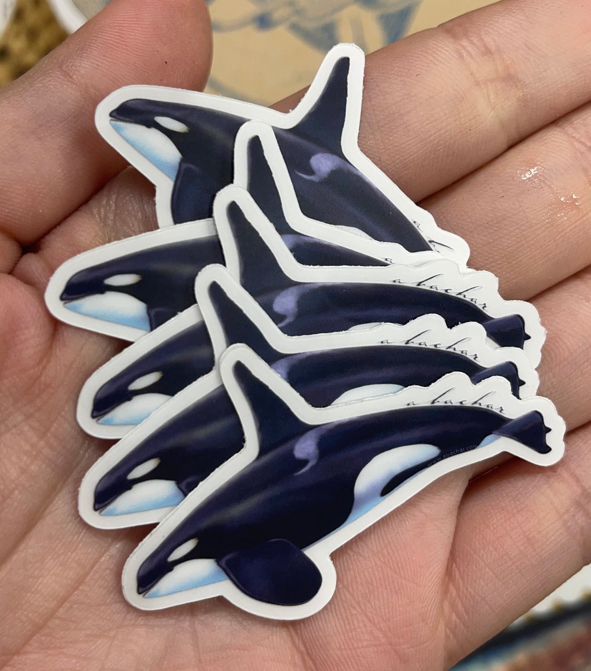 Mini Bull Orca Stickers (Pack of 5)