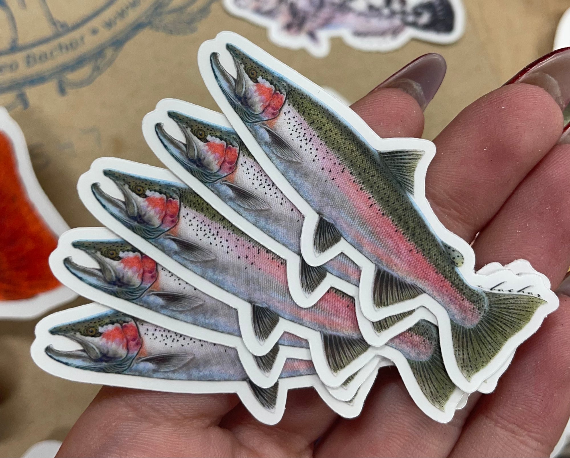 Mini Steelhead Stickers (Pack of 5)