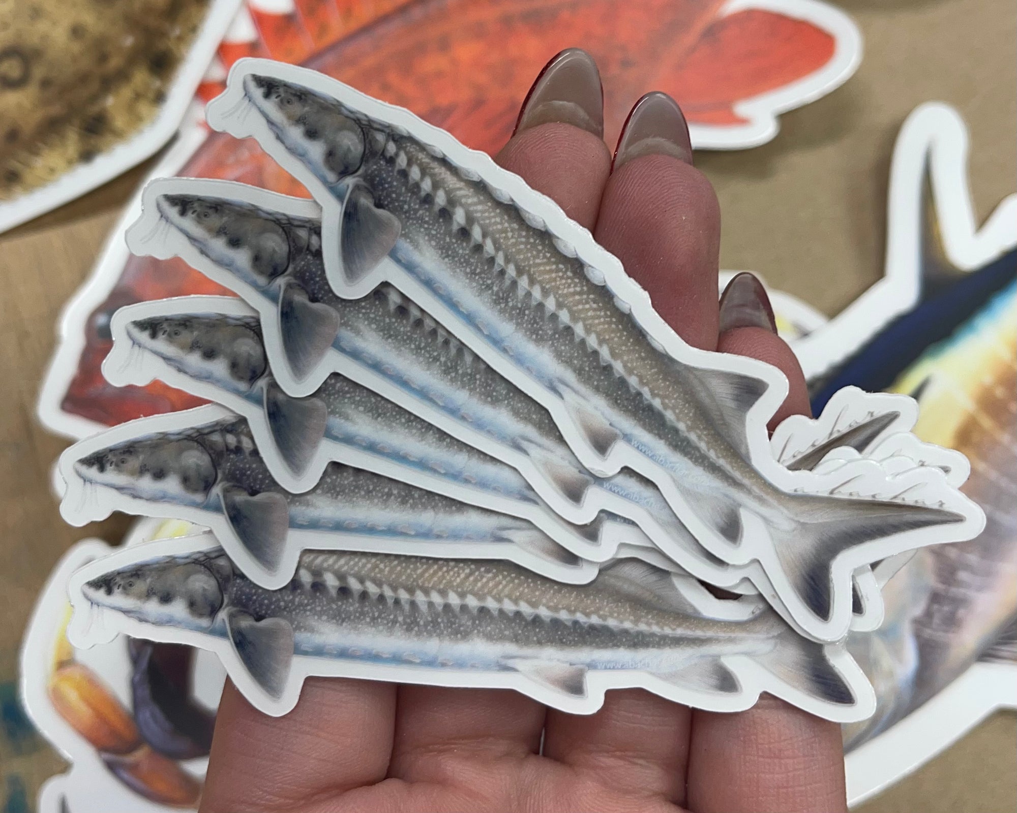 Mini Sturgeon Stickers (Pack of 5)