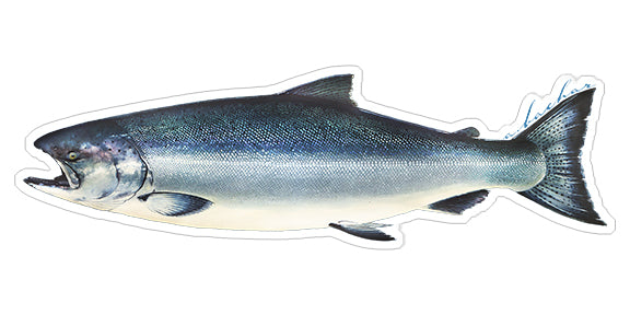 Gold Threadfin Salmon, King Salmon Boat Decals, Fishing Stickers - Fishwreck