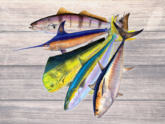 Socal Fish Stickers 5 Pack  Quality Fish Decals by Abachar Studio