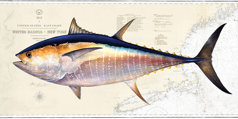 Bluefin Tuna Over Nautical Charts