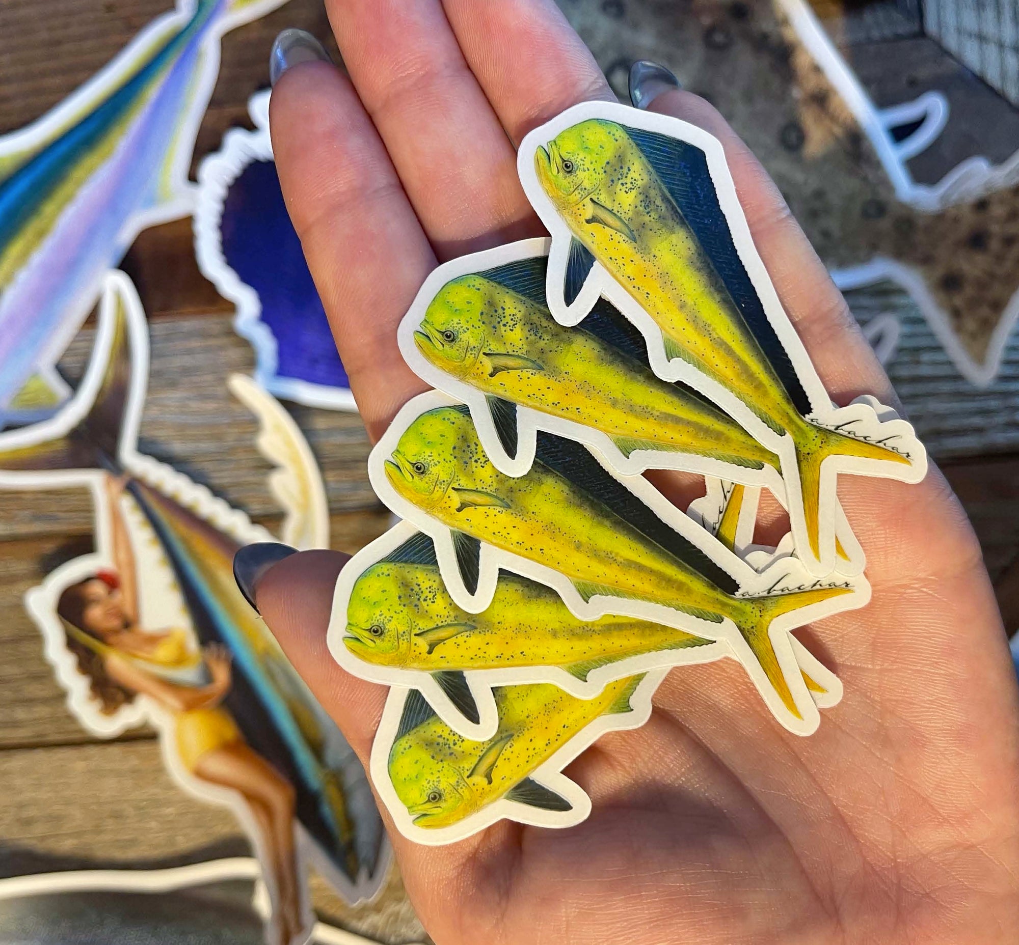 Mini Dorado Stickers (Pack of 5)