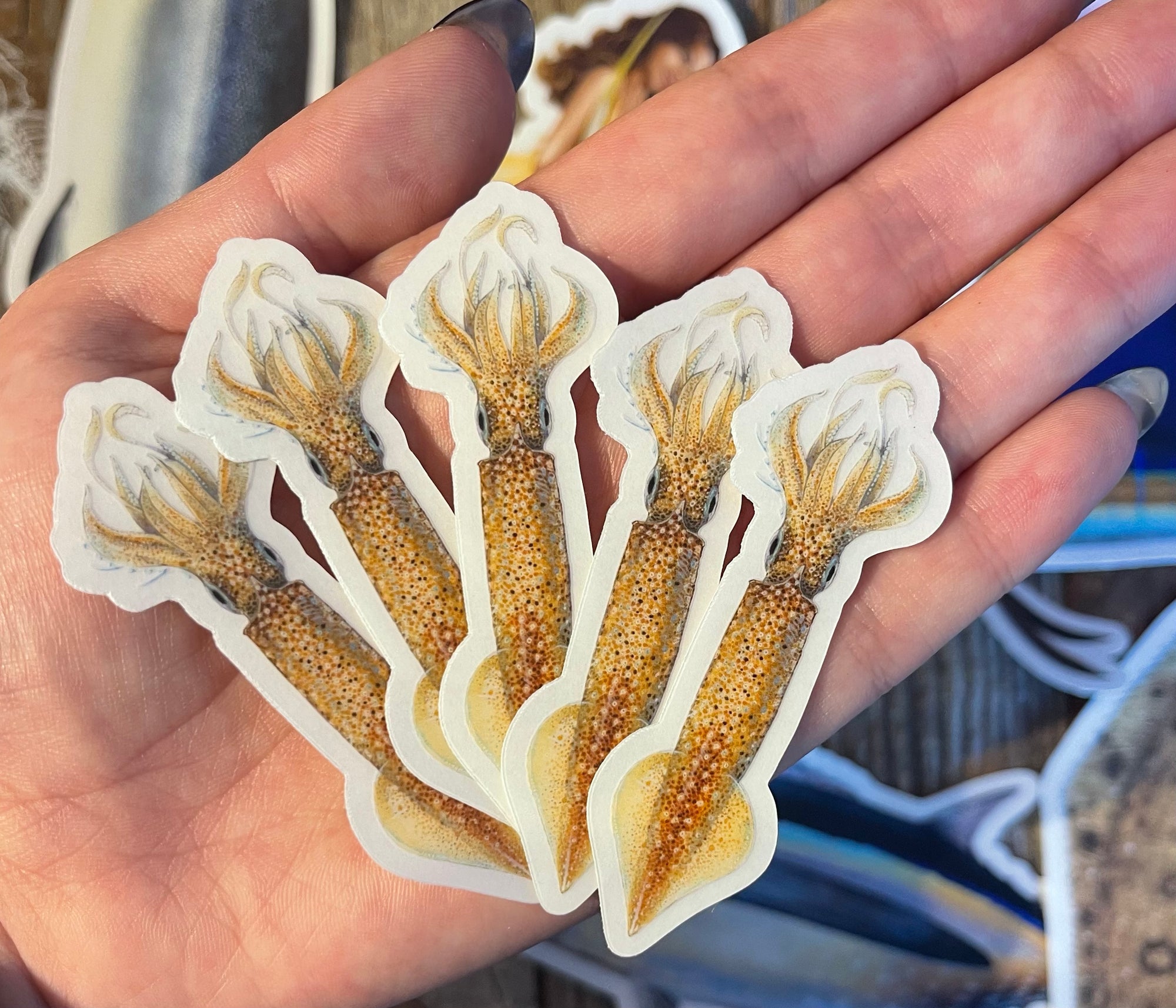 Mini Squid Stickers (Pack of 5)